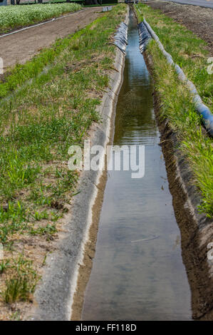 Canal d'irrigation avec l'eau qui coule à travers l'eau pour les champs agricoles. L'Est de l'Oregon Banque D'Images