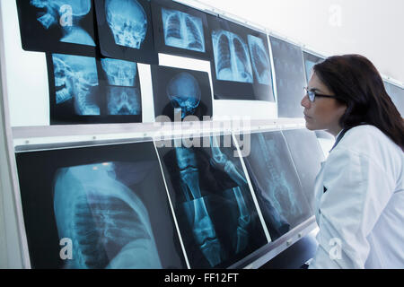 Doctor examining x-rays in hospital Banque D'Images