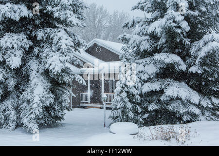 Maison et arbres en cour avant de neige Banque D'Images