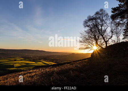 Teesdale, comté de Durham. Le mercredi 10 février 2016, UK Weather. Ciel clair ce matin, c'était un démarrage à froid pour la journée comme le soleil se levait sur l'ancien tertre d'Kirkcarrion dans le North Pennines. Crédit : David Forster/Alamy Live News Banque D'Images