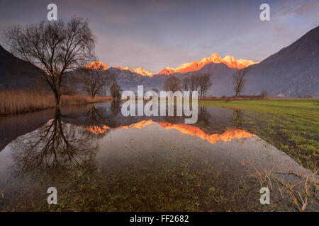 Réserve naturelle de Pian di Spagna inondé de sommets enneigés reflètent dans l'eau au coucher du soleil, la Valtellina, Lombardie, Italie Banque D'Images