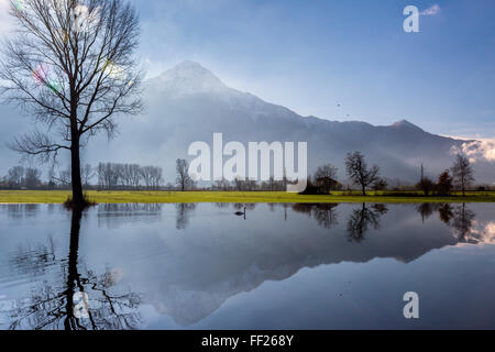 Réserve naturelle de Pian di Spagna inondé avec le Mont Legnone et arbres se reflétant dans l'eau, la Valtellina, Lombardie, Italie Banque D'Images