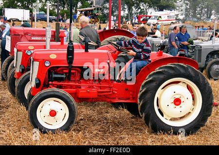 Tracteurs sur l'écran lors d'un rallye Vintage à Colon Co. Louth Irlande Banque D'Images