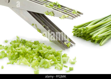 Coupe ciseaux herbe ciboulette fraîche sur fond blanc Banque D'Images