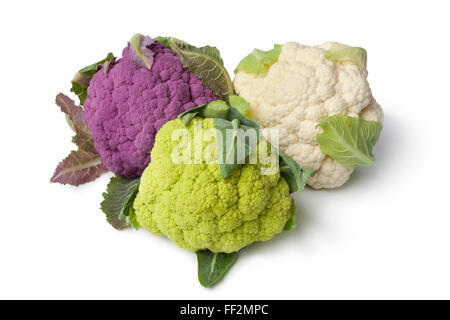 Fresh violet, vert et blanc, le chou-fleur sur fond blanc Banque D'Images