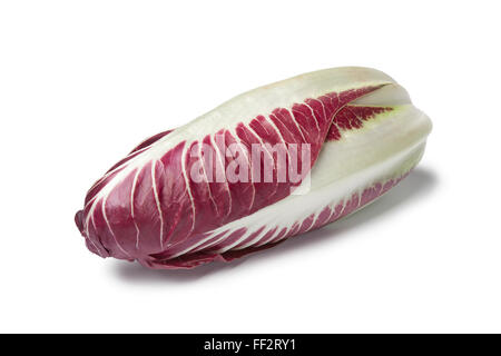 Poisson frais entier seul Radicchio rosso sur fond blanc Banque D'Images