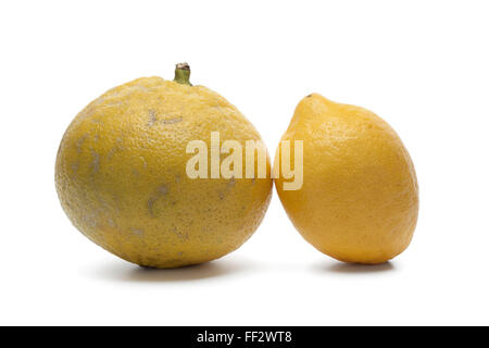 Orange et citron bergamote fraîche sur fond blanc Banque D'Images