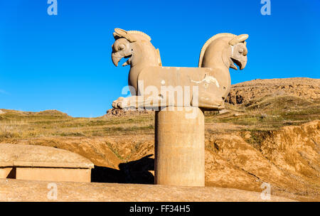 Griffin à achéménide Persepolis - Iran Banque D'Images