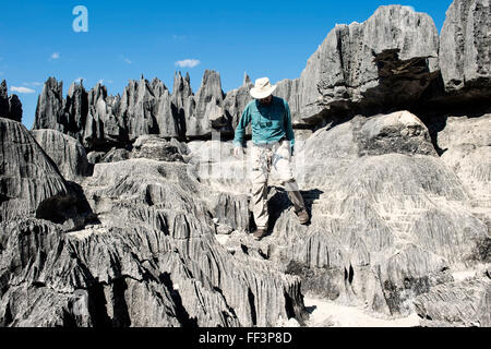 Rock climber dans le parc national Tsingy de Bemaraha, UNESCO World Heritage Site, Bekopaka, province de Majunga, Madagascar Banque D'Images