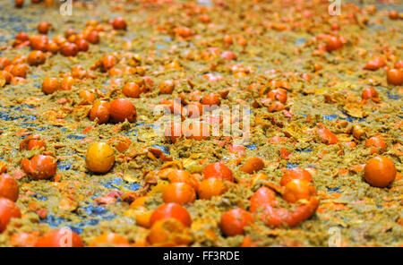 Ivrea, Italie. 09Th Feb 2016. Des oranges sur le terrain pendant la Bataille des Oranges qui a lieu chaque année au cours de l'Ivrée Carnaval. Credit : Nicolò Campo/Pacific Press/Alamy Live News Banque D'Images