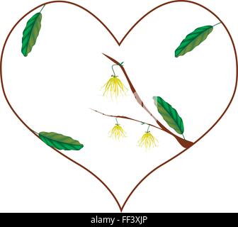 Concept d'amour, de l'illustration de l'ylang-ylang fleurs formant jaune en forme de coeur isolé sur fond blanc. Illustration de Vecteur