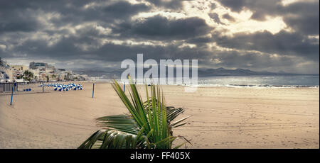 La plage de las Canteras à Las Palmas. Gran Canaria, Canary Islands, Spain, Europe Banque D'Images