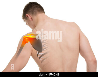 Anatomie de l'épaule de l'Homme Banque D'Images