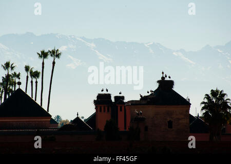 Nid de cigognes en Silhouette - Marrakech - Maroc Banque D'Images