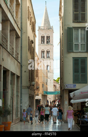 Kroatien, Dalmatien, Zadar, Siroka Strasse mit Blick auf den Turm der Kathedrale der Heiligen Anastasia, Sv. Stosija Banque D'Images