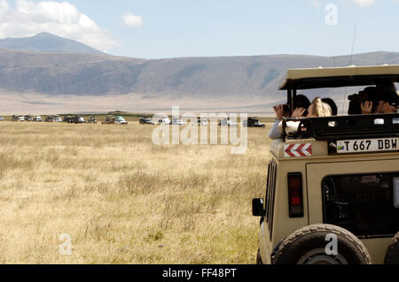 Les touristes en safari lions regardant chasser le bison dans le cratère du Ngorongoro Banque D'Images