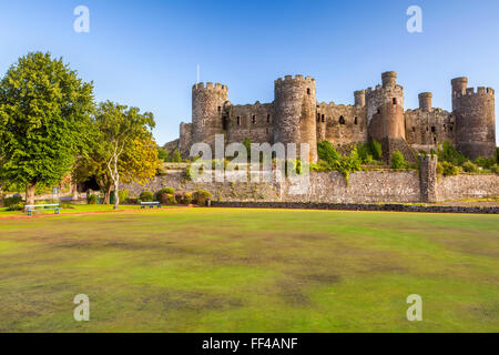 Château de Conwy, Pays de Galles, Royaume-Uni, Europe. Banque D'Images