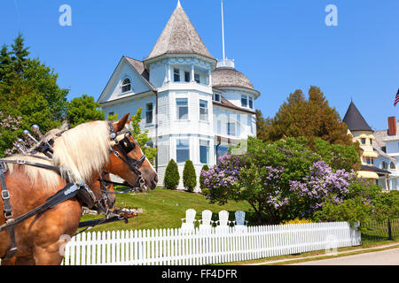 Les chevaux et la maison Victorienne historique sur l'île Mackinac dans le Michigan. Lilac bush en pleine floraison Banque D'Images