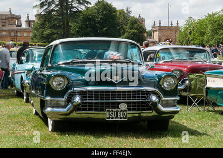 1955 Cadillac Coupe de Ville, réunion du Club de l'automobile américains Banque D'Images