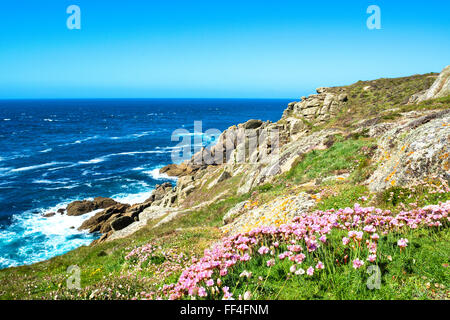 Gwennap head près de Lands End en Cornouailles, Angleterre, RU Banque D'Images