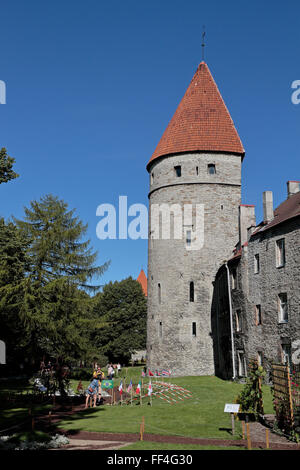 Les murs de la ville et tours de la vieille ville de Tallinn, Estonie. Banque D'Images