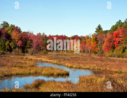 New Hampshire, feuillage d'automne coloré le long des étangs, des champs et de la chaussée Banque D'Images