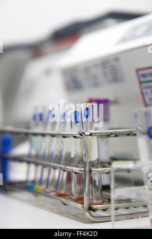 Tubes vides en position sur table en laboratoire Banque D'Images