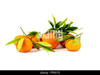 Still Life, mandarines avec feuilles, isoler Banque D'Images