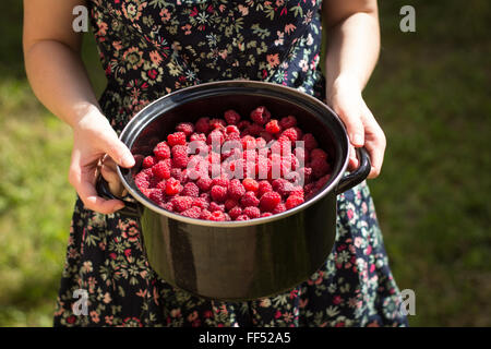 Femme grand bol de framboises mûres Banque D'Images