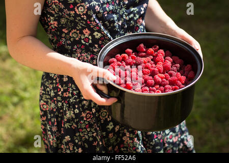 Femme grand bol de framboises mûres Banque D'Images