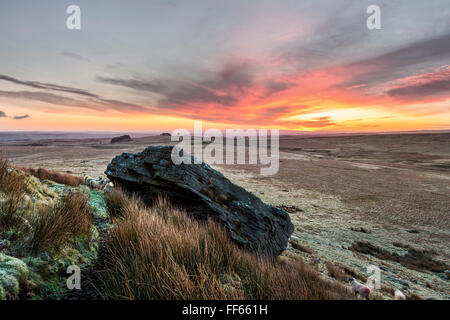 Goldsborough, Baldersdale, Teesdale, comté de Durham, Royaume-Uni. Jeudi 11 février 2016, UK Weather. C'était un si haut en couleur plutôt froide et frosty de commencer la journée sur le Nord des Pennines moors à Goldsborough dans Baldersdale. Crédit : David Forster/Alamy Live News Banque D'Images