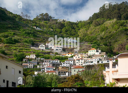 Une rue avec des courbures étroites mène les pentes abruptes à travers les maisons blanches et colorées et des vignobles à Porto Moniz, Madeira Banque D'Images