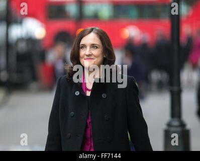 Theresa Villiers,secrétaire d'État pour l'Irlande du Nord,arrive au numéro 10 Downing Street pour une réunion du Cabinet Banque D'Images