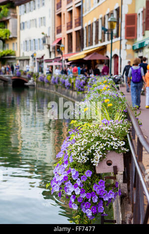 De beaux pots de fleurs le long des canaux à Annecy, France, connue comme la Venise Française Banque D'Images