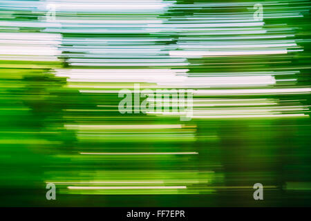 Light Abstract Natural Green Background Motions. Banque D'Images