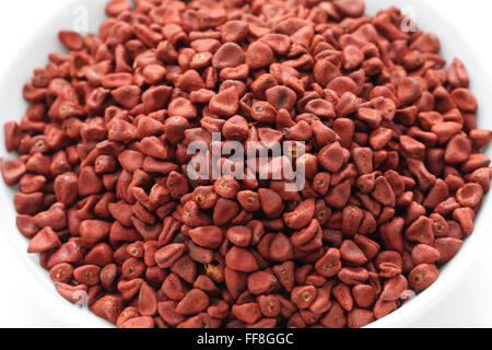 Graines, graines de rocou achiote, Bixa orellana seeds isolé sur fond blanc Banque D'Images