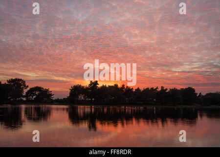 Coucher de soleil aux couleurs vives avec ciel de maquereau et réflexions à Hatchet Pond près de Beaulieu dans la New Forest, Hampshire, Angleterre, Royaume-Uni Banque D'Images