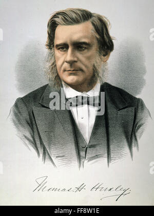 THOMAS H. Huxley (1825-1895). NEnglish /biologiste. Lithographie, anglais, c1885. Banque D'Images