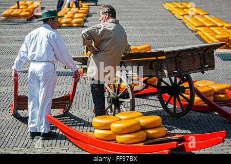 Les hommes, de fromage et d'Alkmaar, panier du marché du fromage, la Hollande, les Pays-Bas Banque D'Images