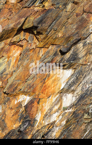 Motifs abstraits de la falaise mur au Blue Lagoon, Abereiddy (Abereiddi) dans la région de Pembrokeshire, Pays de Galles, Royaume-Uni Banque D'Images