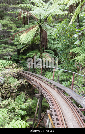 Au chemin de fer Driving Creek et poteries.Près de la ville de Coromandel, Coromandel Peninsula,Île du Nord, Nouvelle-Zélande, NZ, Banque D'Images