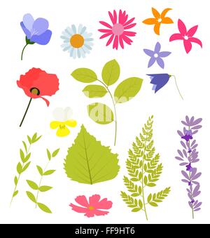 Résumé des éléments de source naturelle de fleurs et de feuilles. Vector Illustration de Vecteur