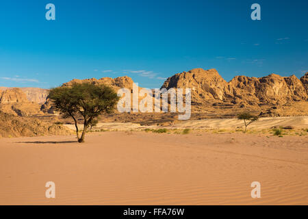 Paysage du désert du Sinaï Banque D'Images