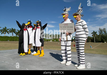 West Palm Beach, Floride, USA. Feb 11, 2016. Snowy Jailbirds, Barry et Lois Ventes, Boca Raton, a remporté le premier prix au concours de costume à la 3e édition du tournoi de croquet Flamingos vs Snowbirds au National Croquet Center de West Palm Beach le 11 février 2016. Le bénéfice tournoi est ouvert au public avec des prix pour les costumes et les vainqueurs de tournoi. Les organisateurs espèrent que les participants vont sortir et être ridicule et s'amuser. Le bénéfice a permis de recueillir des fonds pour l'éclairage de nuit au centre, de nouveaux coussins pour le mobilier et les améliorations générales. (Crédit Image : © Alle Banque D'Images