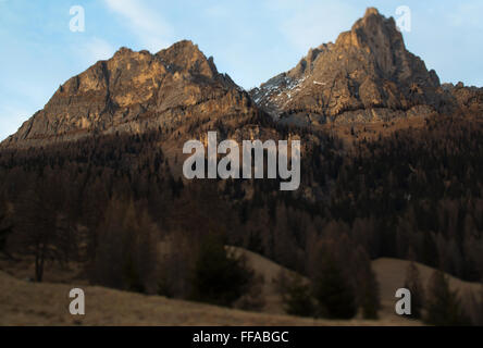 Tilt Shift sur une ligne de pins sur la pente d'une petite chaîne de montagnes près de Selva di Cadore, Dolomites, Italie. Banque D'Images