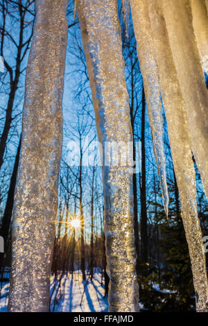 Les glaçons créé par une fuite de chaleur du toit d'un toit suspendu en hiver près de Big Rapids dans Mecosta County, Michigan, USA Banque D'Images