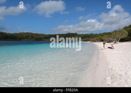 Lac McKenzie avec plage de sable blanc, eau claire et ciel bleu avec des nuages blancs gonflées sur Fraser Island, Queensland Banque D'Images