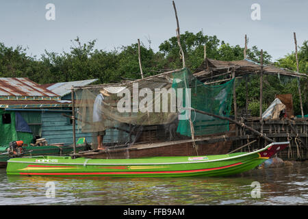 La récolte de tout petits poissons de pêcheur son filet, Chong Khneas village flottant, la rivière Siem Reap, Cambodge Banque D'Images