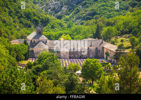 Paysage magnifique champ de lavande et d'un ancien monastère Notre-Dame de l'Abbaye Notre-Dame de Sénanque (Abbaye de Sénanque) à Vauc Banque D'Images