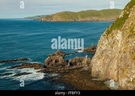 Vue de Nugget Point, le Sud, Catlins Otago, Nouvelle-Zélande Banque D'Images